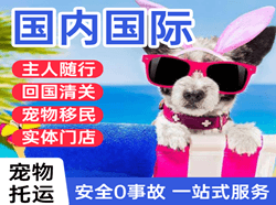 常州奔牛机场货运国际宠物托运 【国